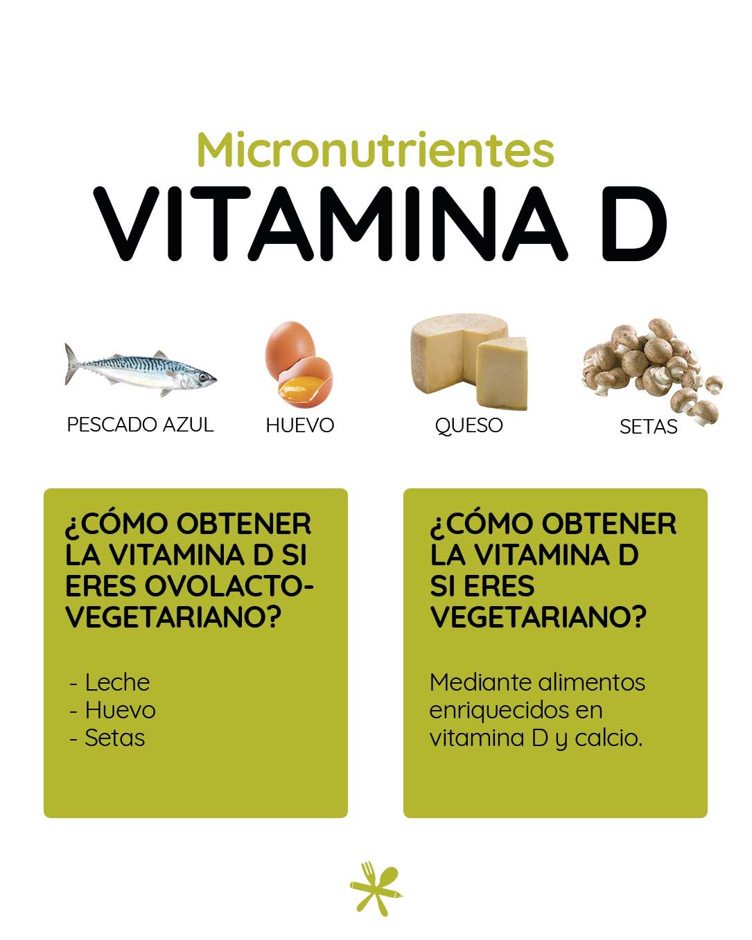 propiedades-vitaminad-nutricionista-Nodrit