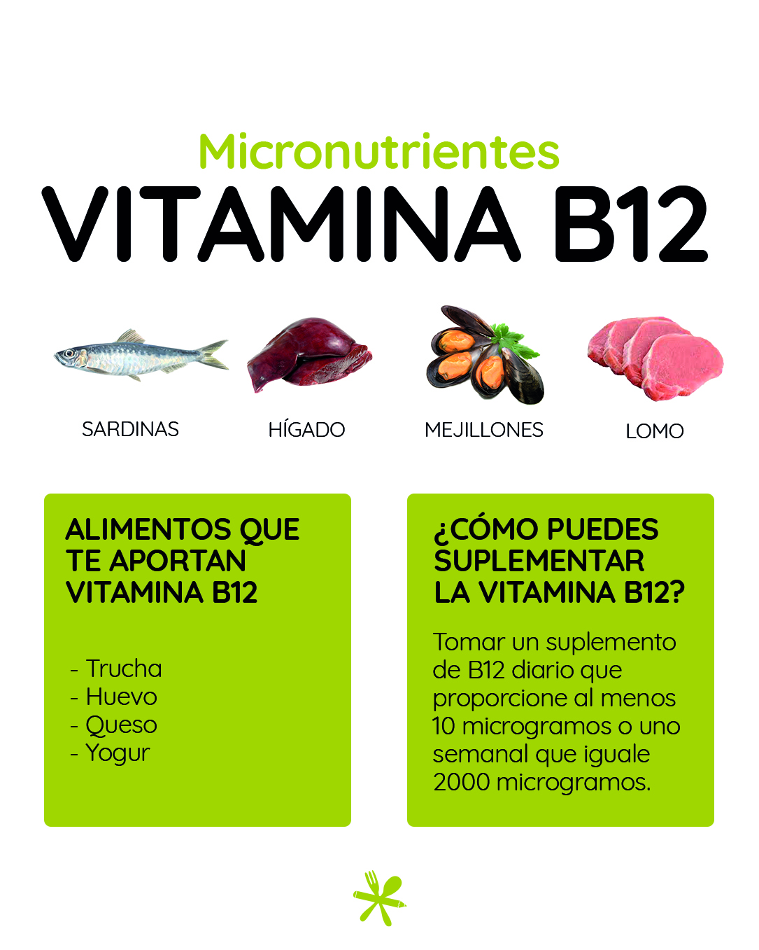 propiedades-vitaminab12-nutricion-Nodrit